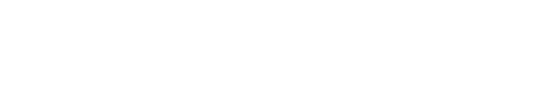 Bir Devlet Üniversitesi